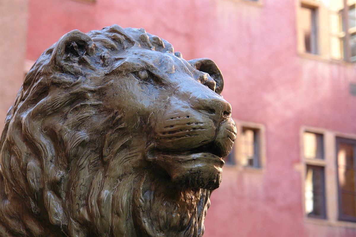 LYON<br><small>Patrimoine mondial de l’UNESCO</small>
